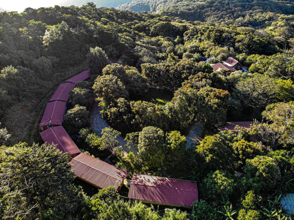 El Bosque Lodging Villa Monteverde Ngoại thất bức ảnh