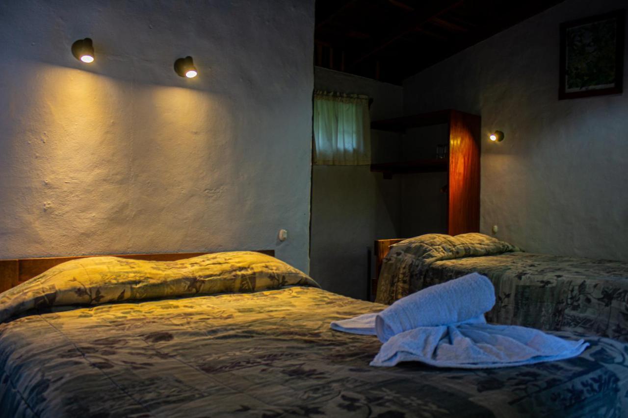 El Bosque Lodging Villa Monteverde Ngoại thất bức ảnh